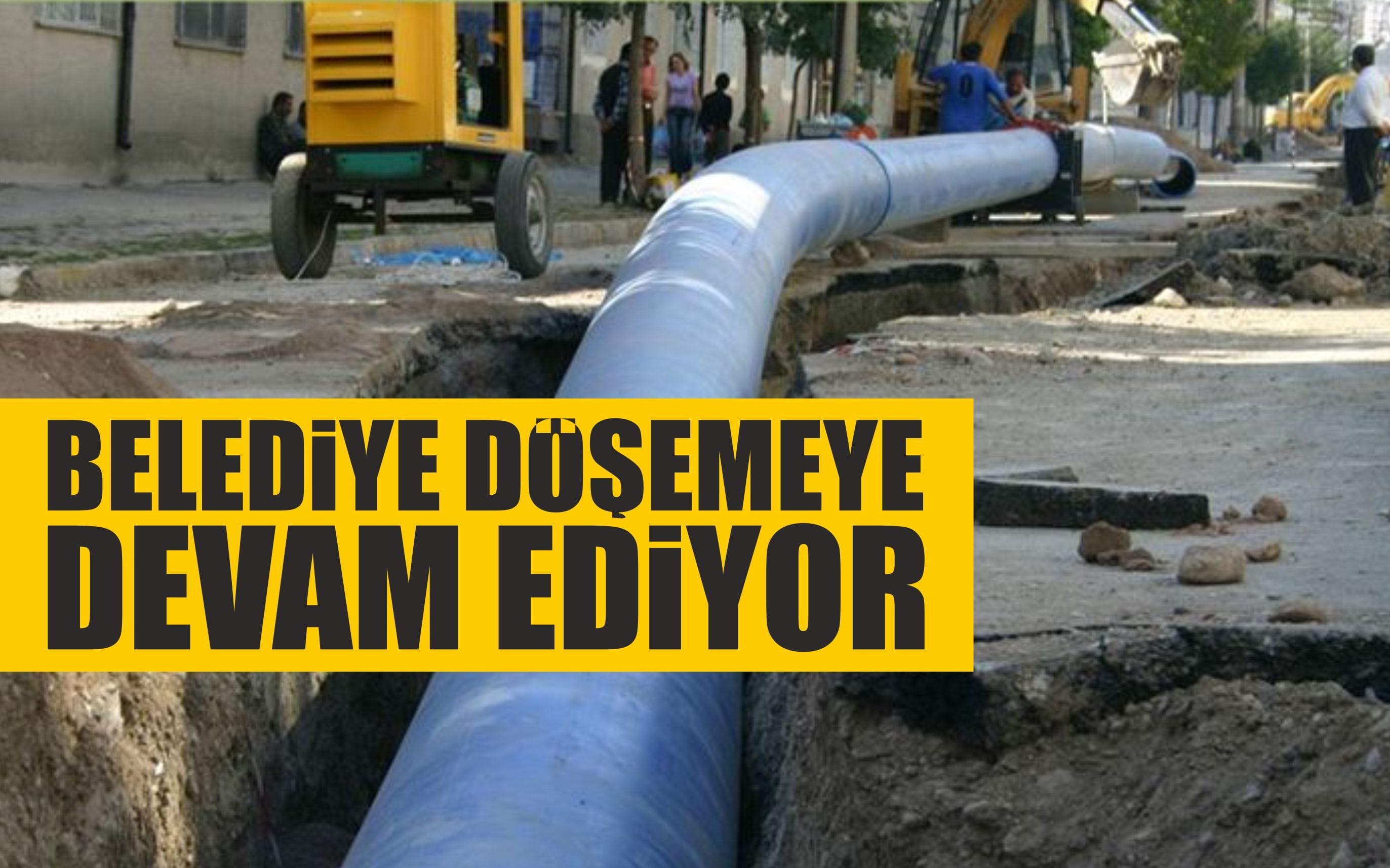belediyeboru