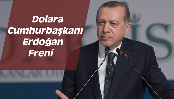 Dolara Cumhurbaşkanı Erdoğan Freni