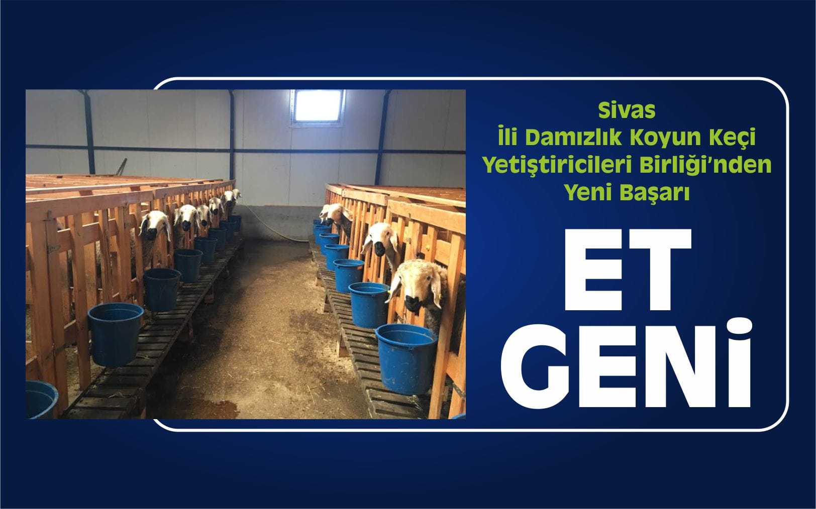 ethem-dogan-sivas