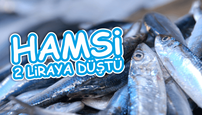 hamsi