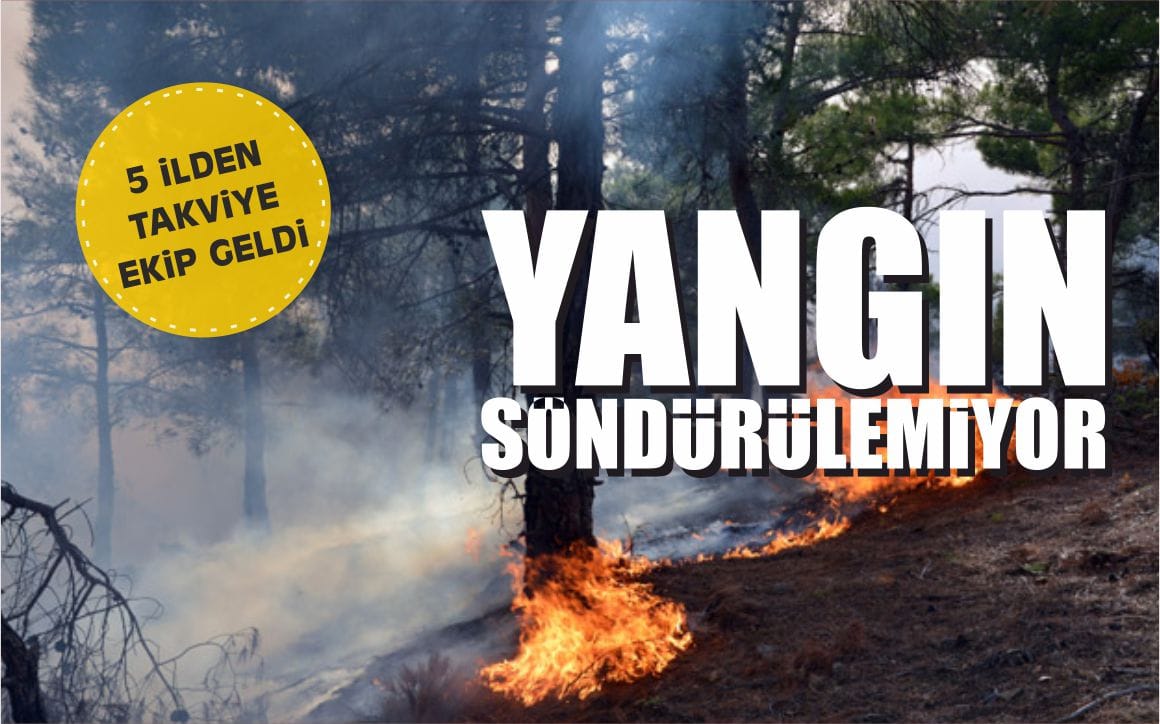 yangin