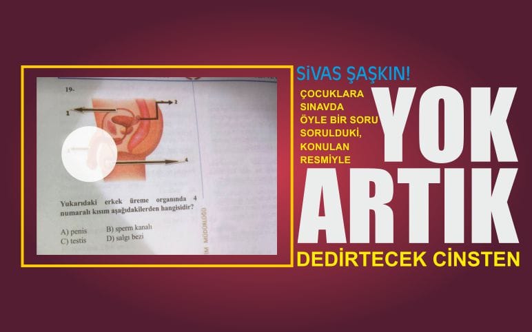Yok Artık!