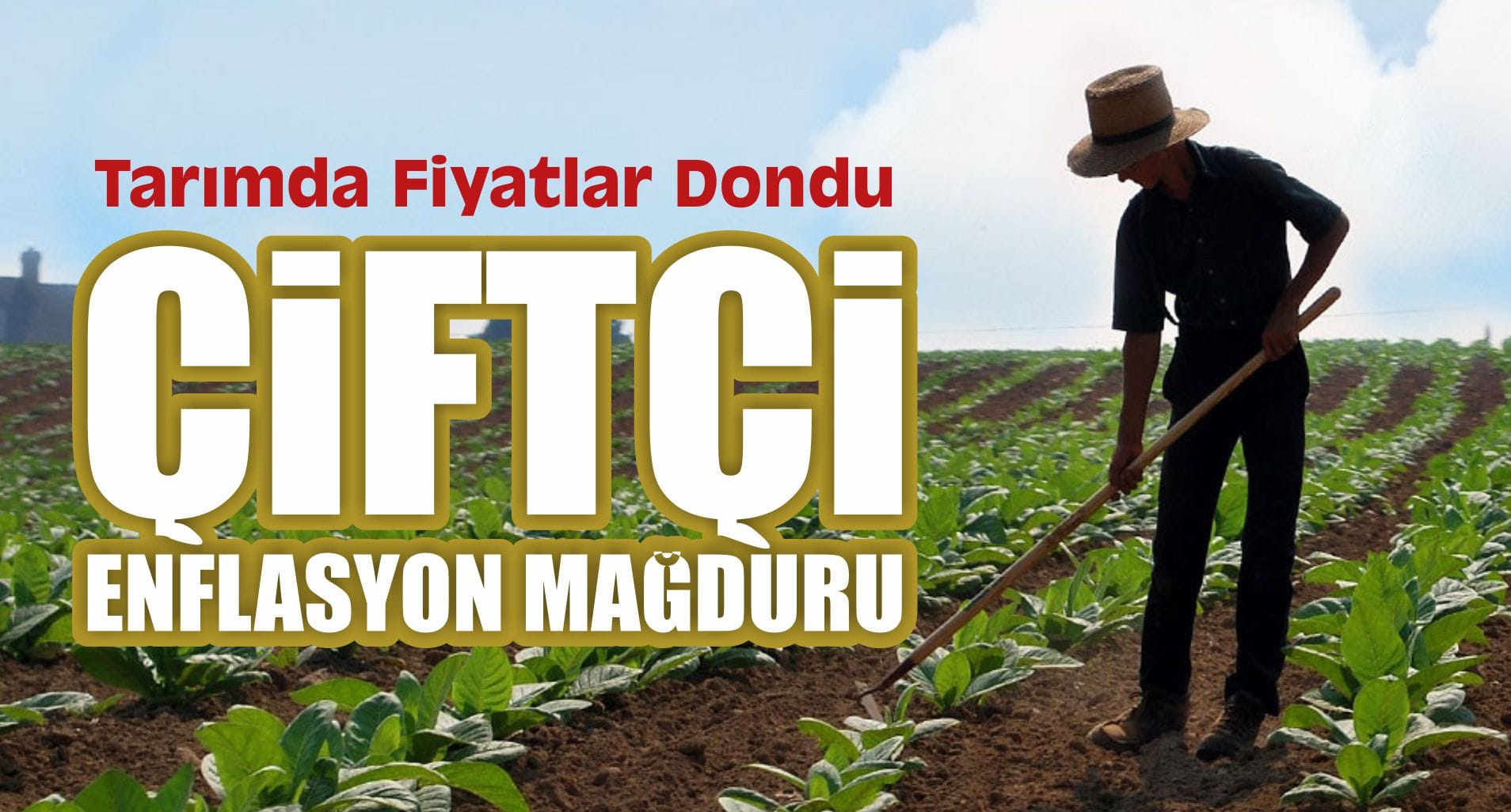 Tarımda Fiyatlar Dondu