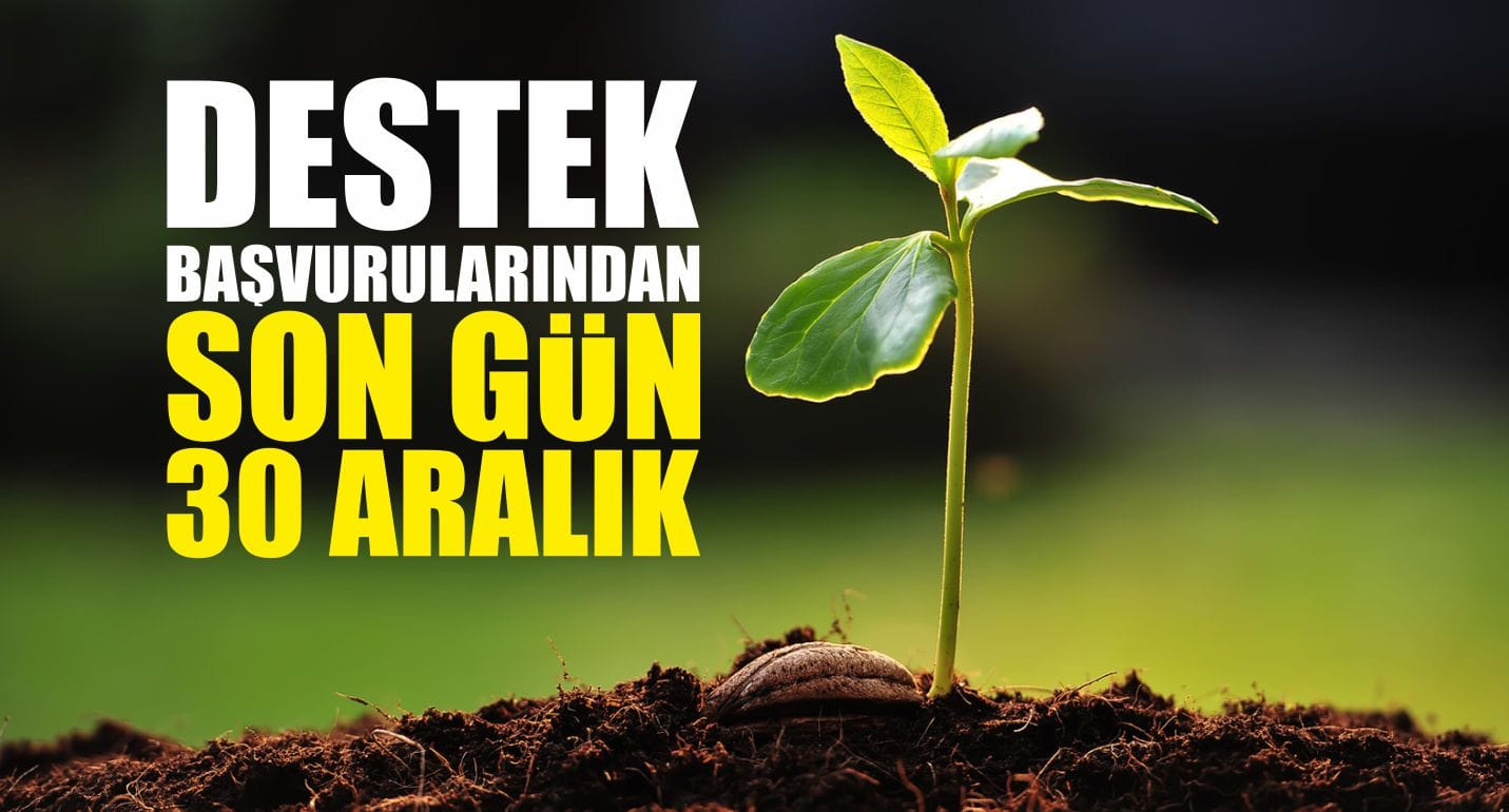 destek basvuru