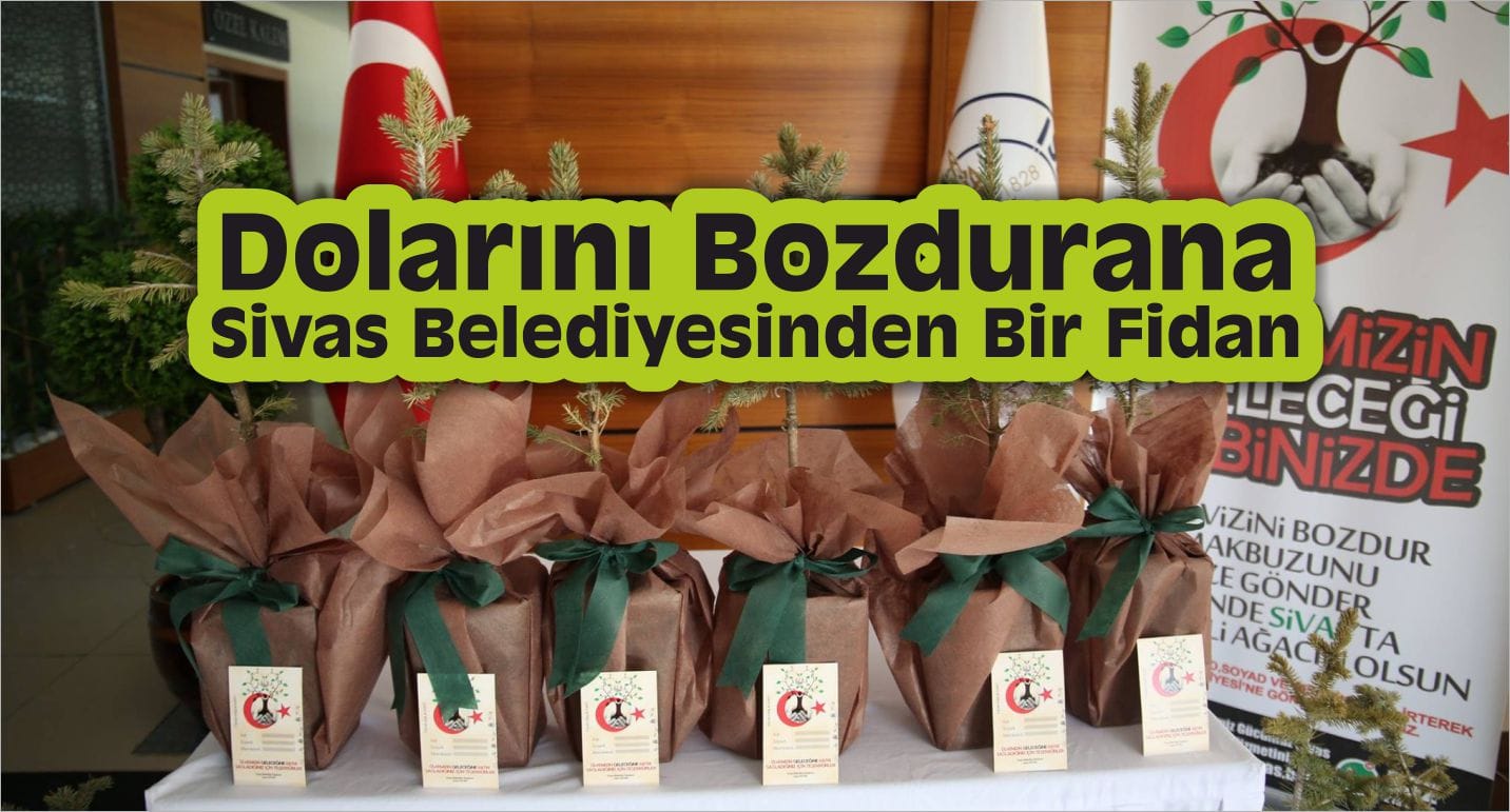 dolar belediye