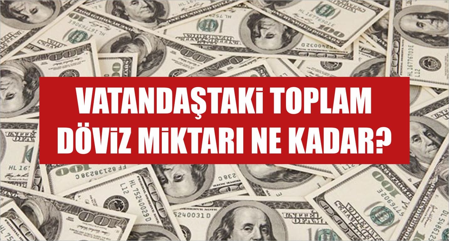 Vatandaştaki Toplam Döviz Miktarı Ne Kadar?