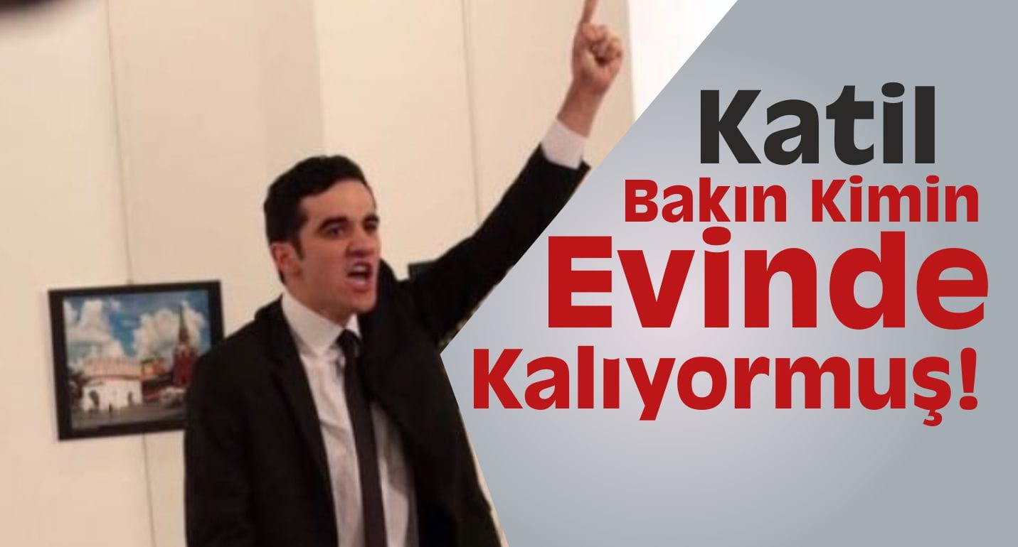 katil