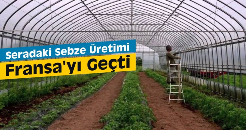 Tarımsal Üretim Hızla Seraya Kayıyor