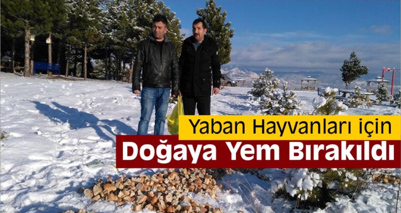 Doğaya Yem Bırakıldı