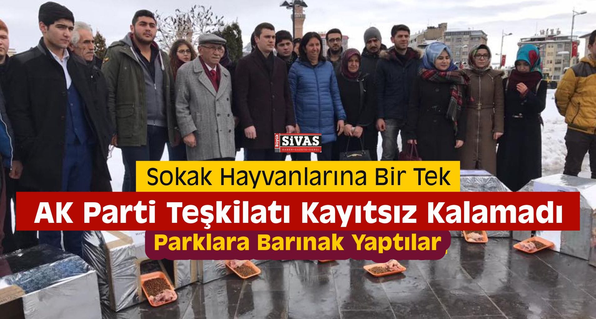 AK Parti Sivas Sokak Hayvanlarına Barınak Yaptı
