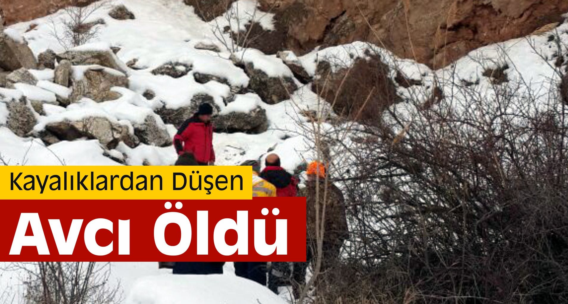 avci oldu