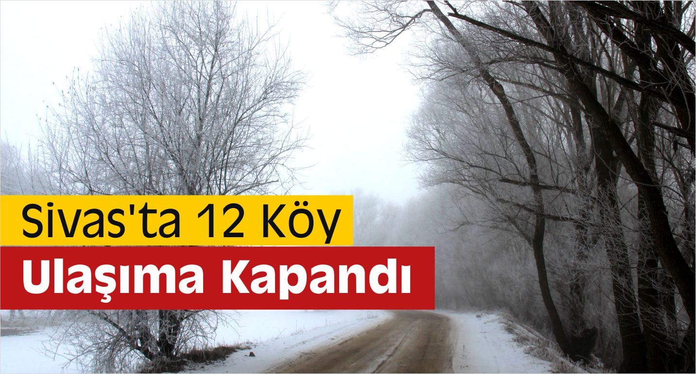 sivas koyleri