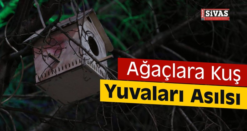 Sivas’taki Ağaçlara Kuş Yuvaları Asıldı