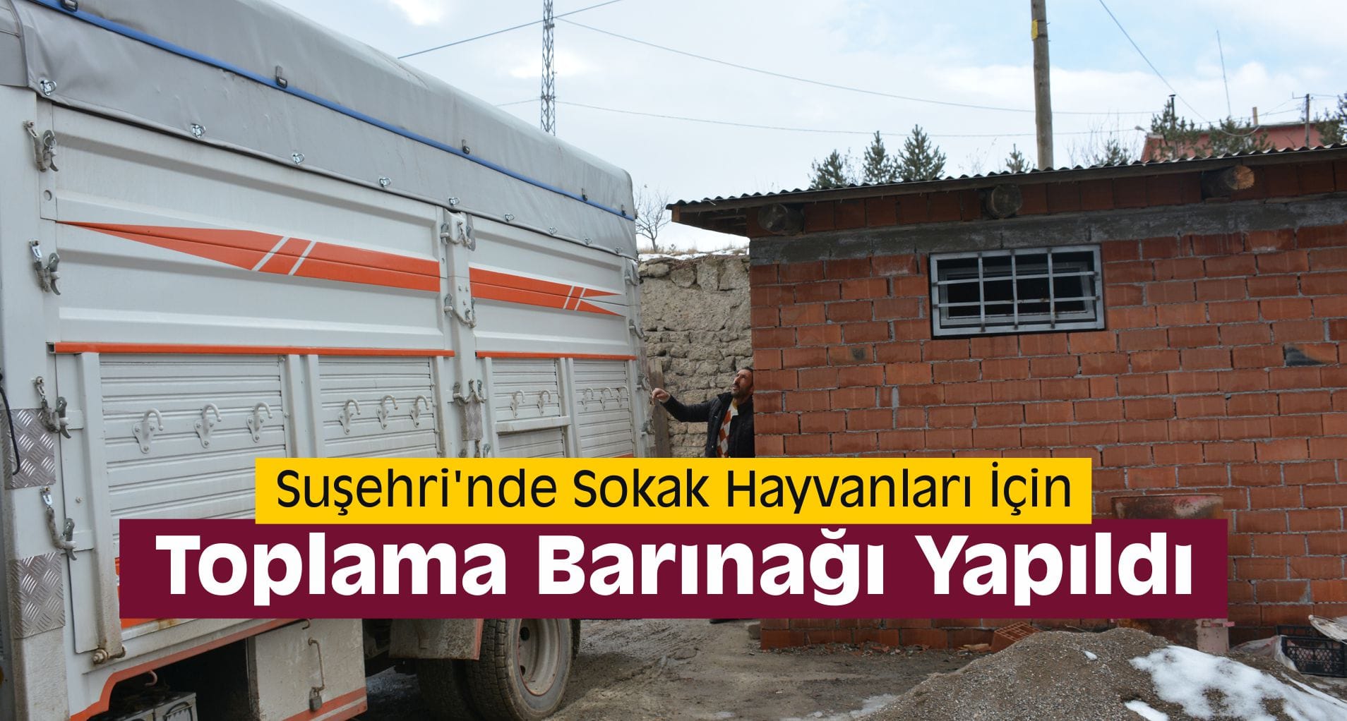 Suşehri’nde Sokak Hayvanlarına Toplama Barınağı