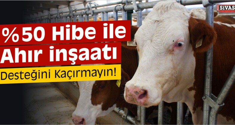 %50 Hibe İle Ahır İnşaatı Desteğini Kaçırmayın!