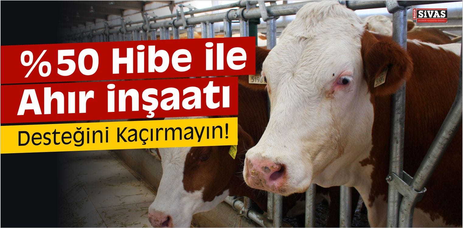 %50 Hibe İle Ahır İnşaatı Desteğini Kaçırmayın!