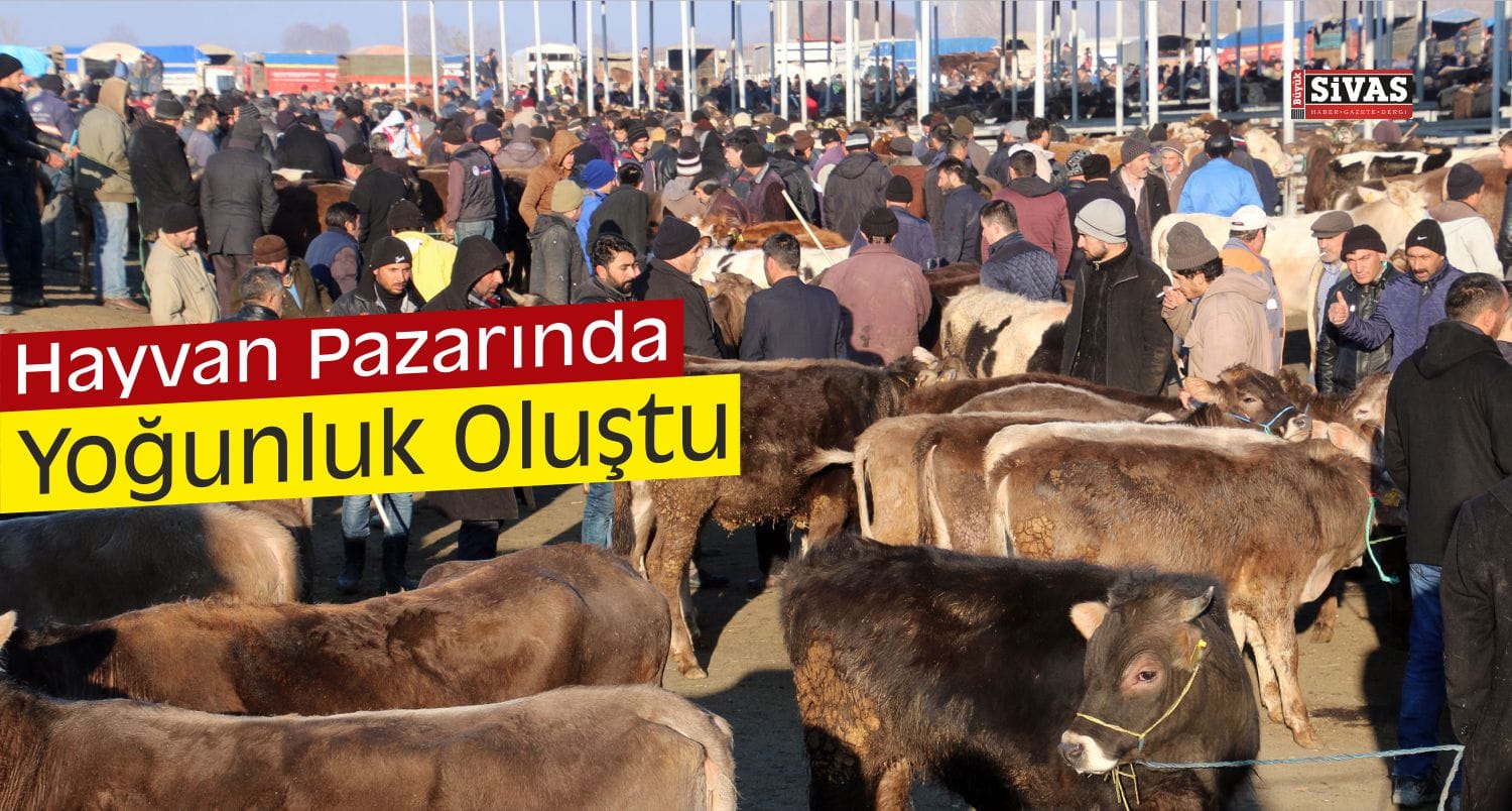 hayvan pazarı