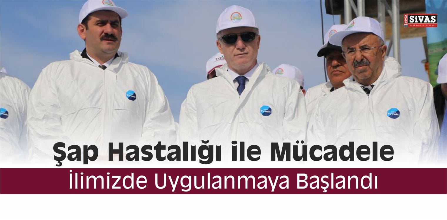 Şap Hastalığı ile Mücadele, İlimizde Uygulanmaya Başlandı