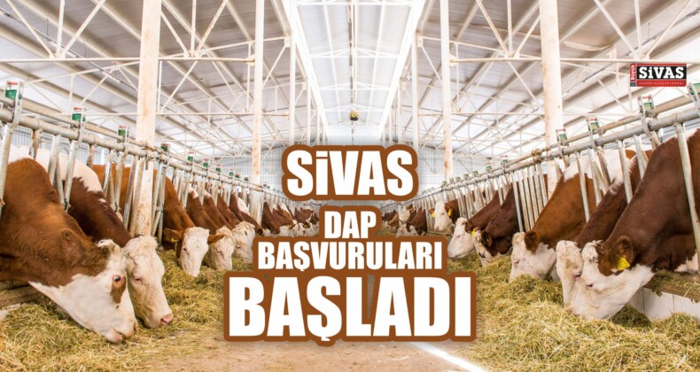 Sivas DAP Başvuruları Başladı