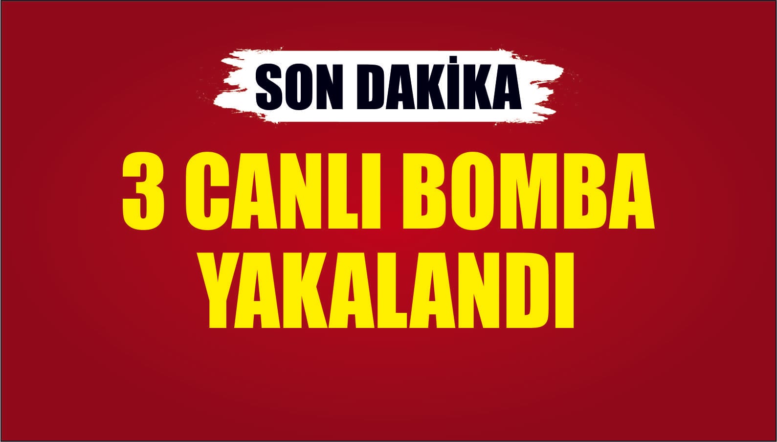 3 Canlı Bomba Yakalandı