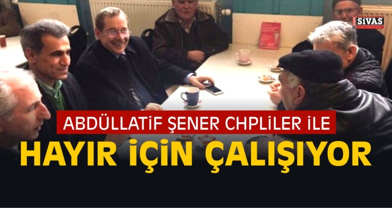 Abdüllatif Şener, Hollanda’da CHP İçin Çalışıyor