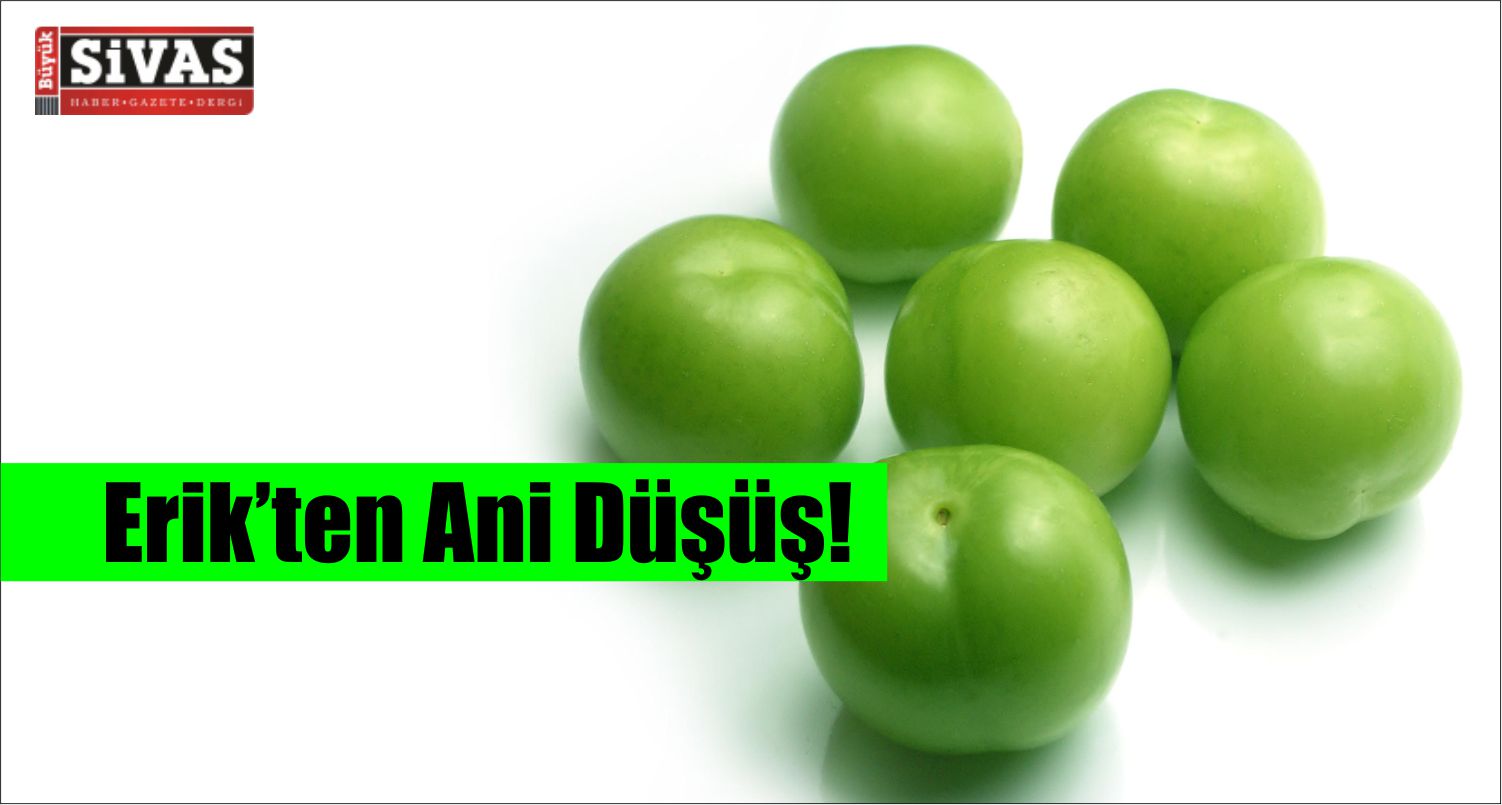 Erik Fiyatlarında Şok Düşüş!