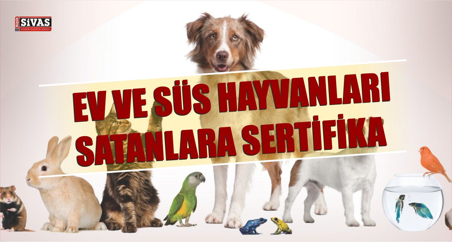 ev ve süs hayvanları