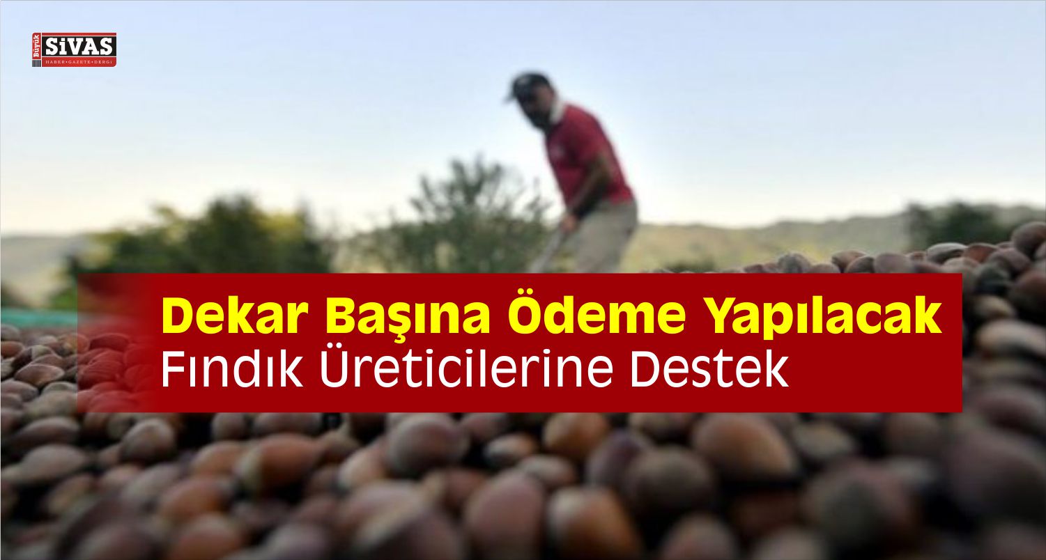 fındık üreticilerine destek
