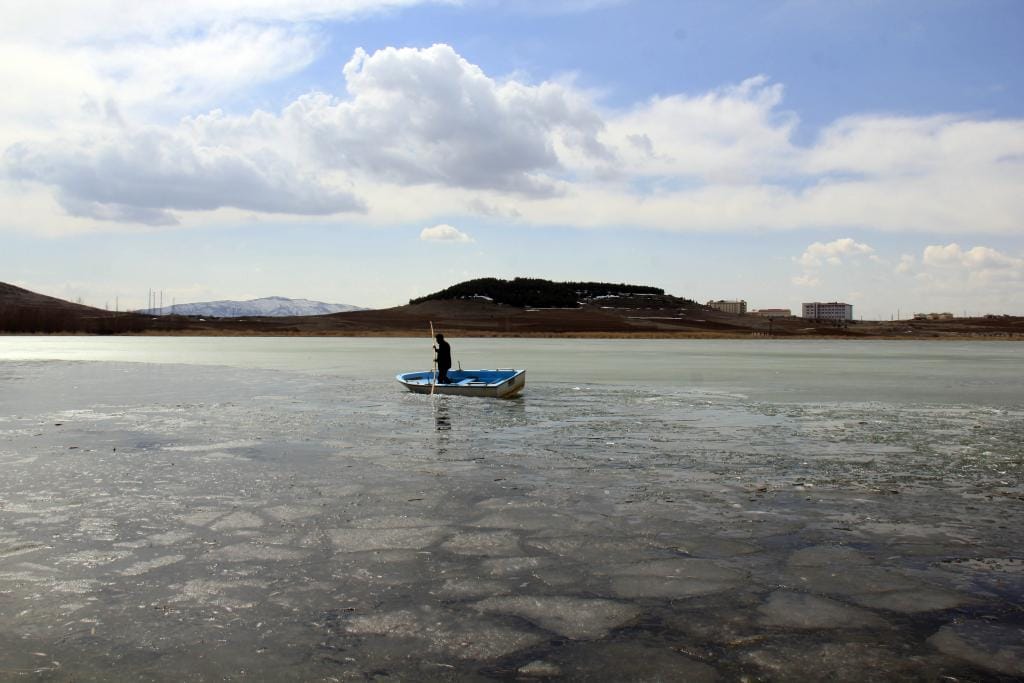 Hafik Gölü�ne Göçmen Kuşlar Akın Etti Büyük Sivas Haber Sivas