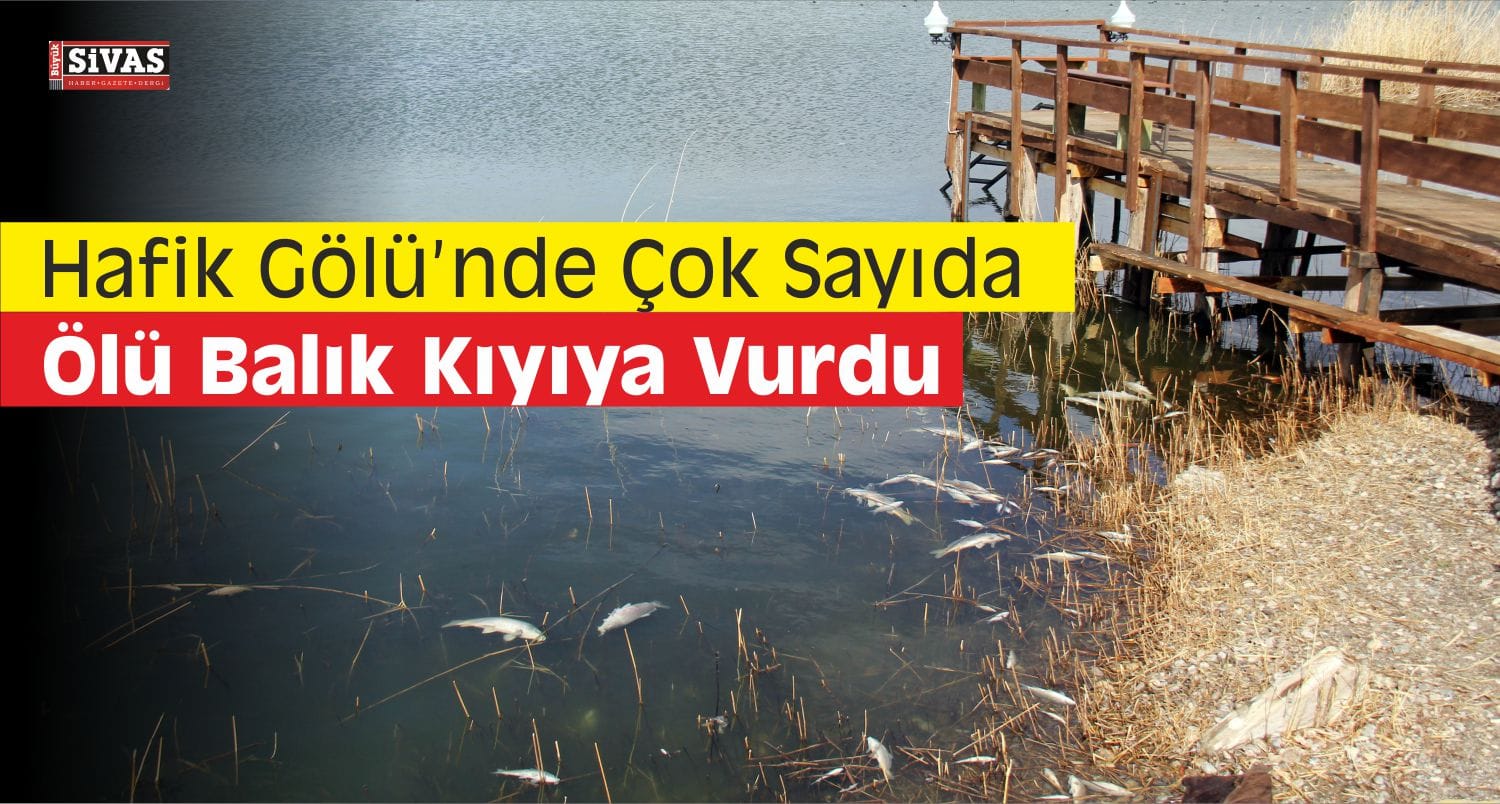 hafik ölü balık