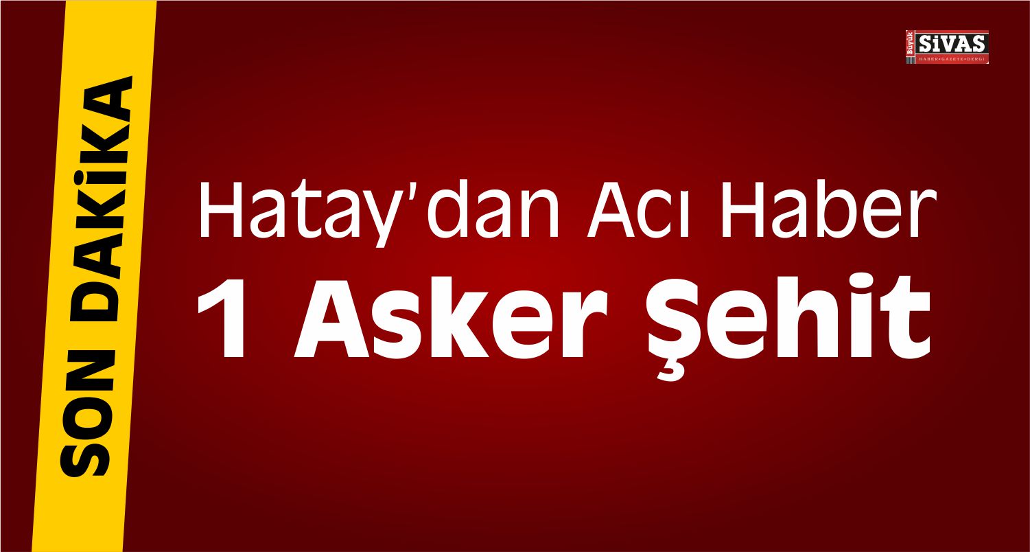 hatay şehit