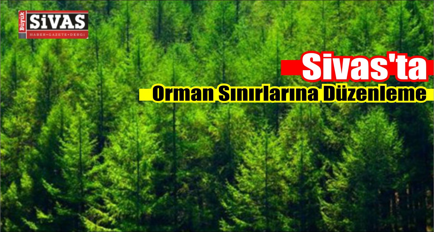 Sivas’ta Orman Sınırlarına Düzenleme