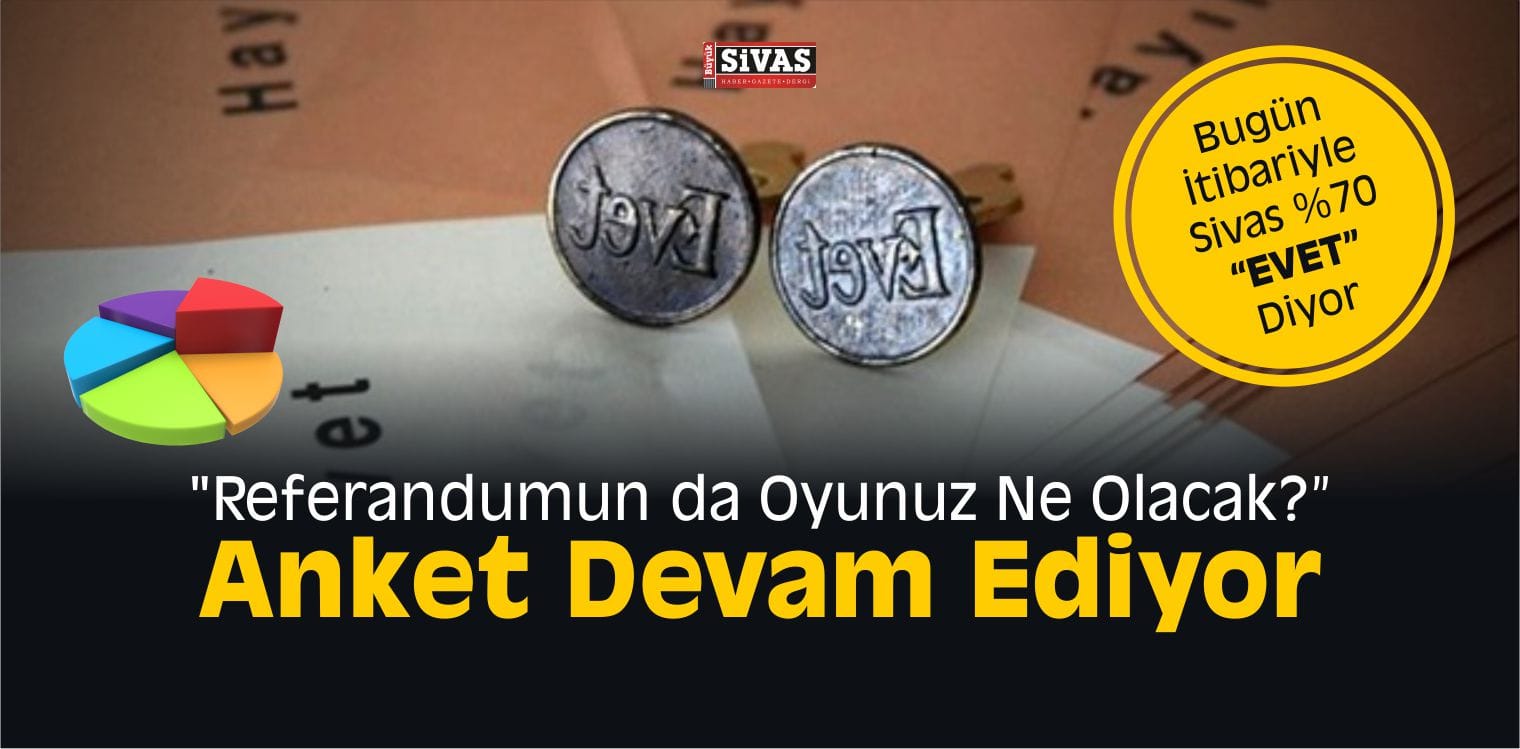 referandum anketi