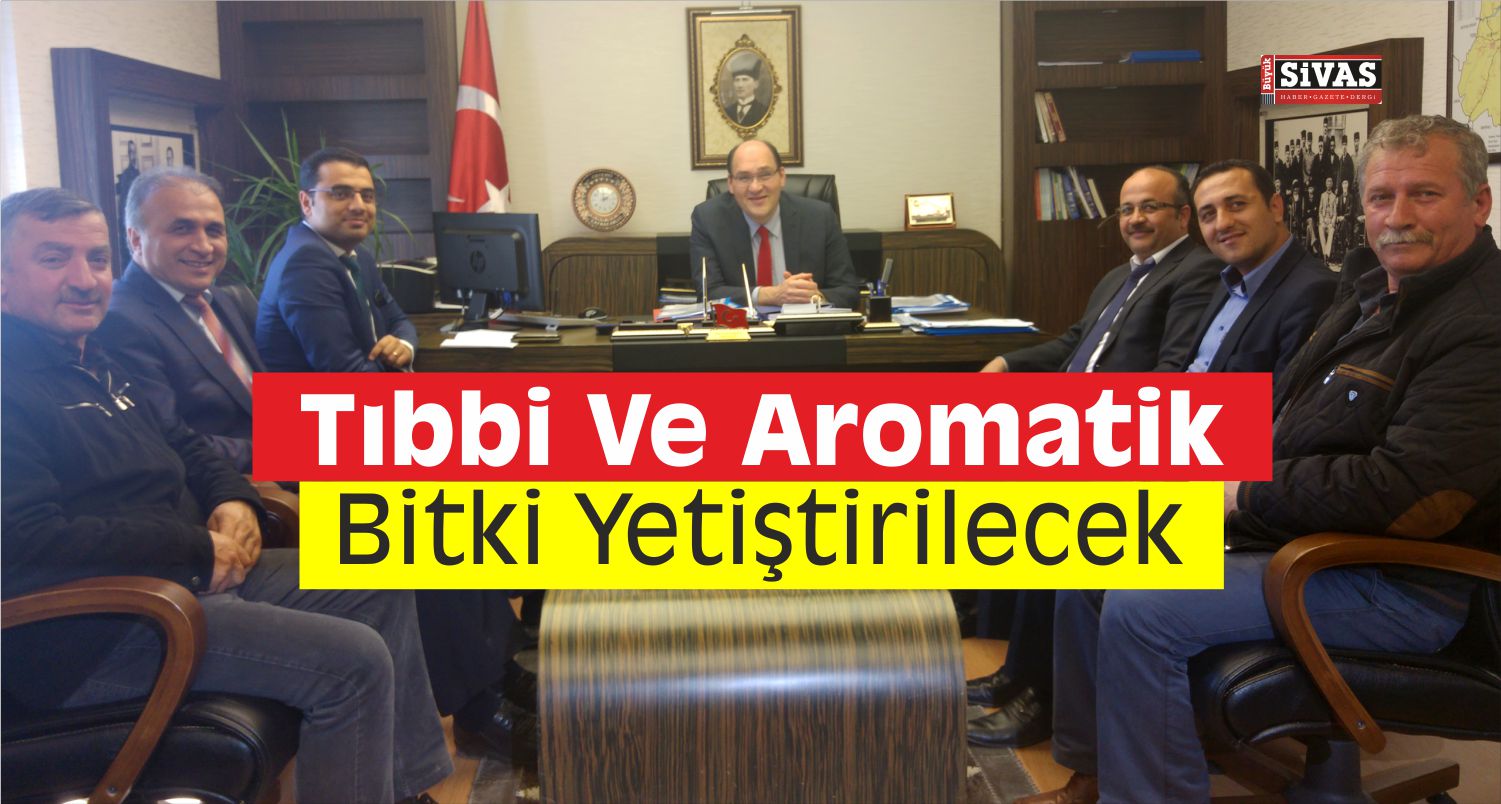 tıbbi ve aromatik bitki yetiştiriciliği