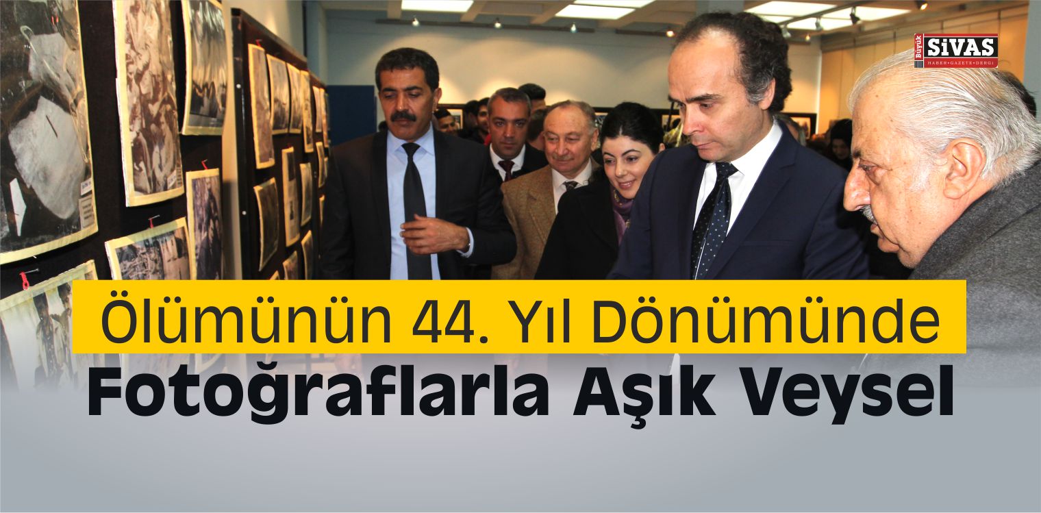 yucel yonal