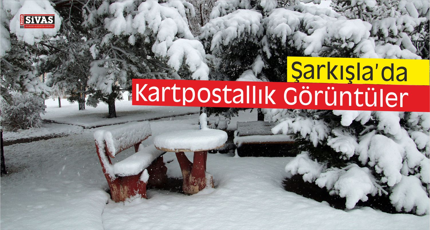 Şarkışla Kar Yağışı