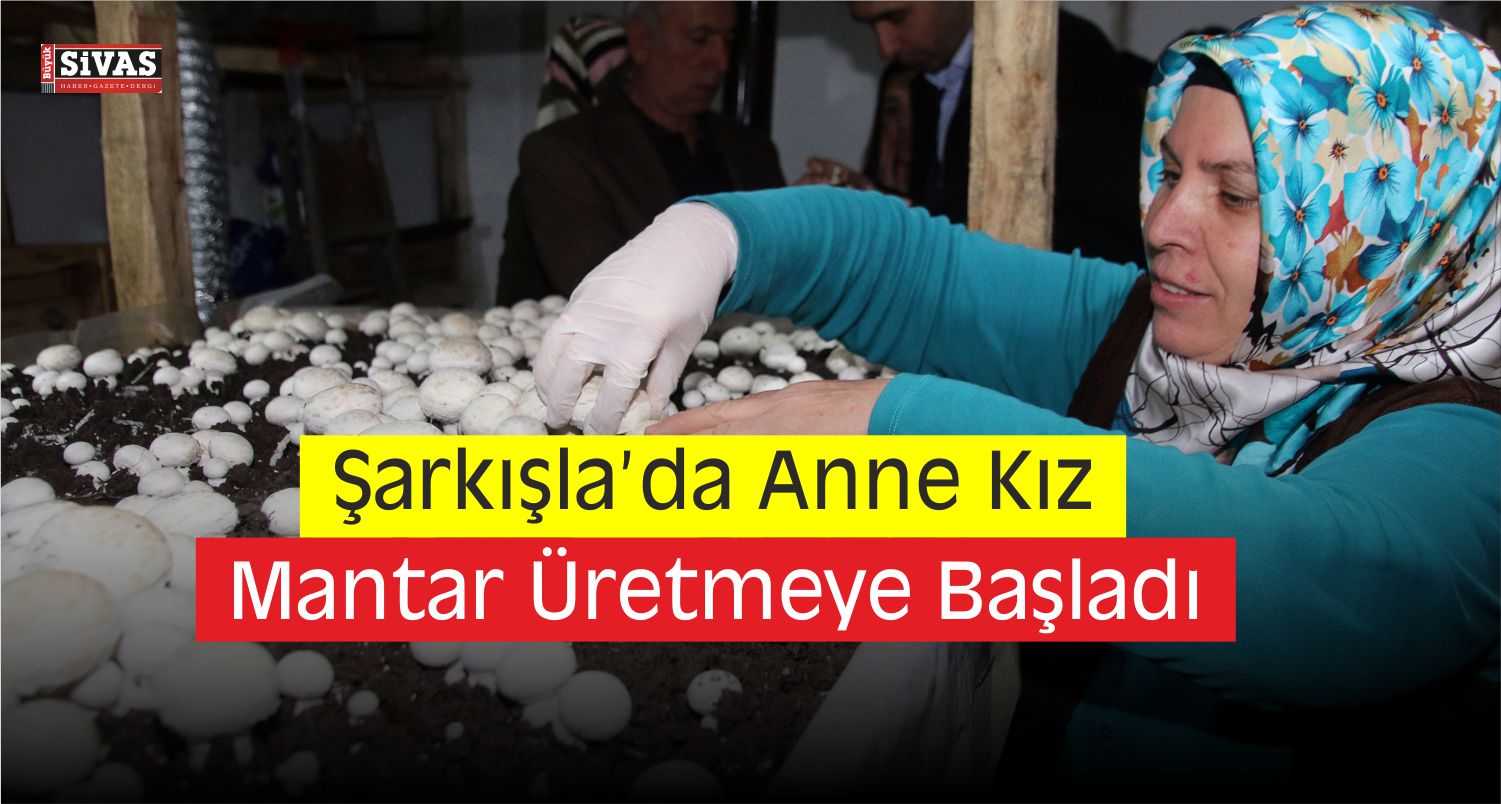 şarkışlada anne kız mantar üretmeye başladı