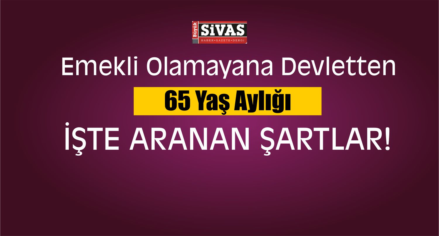 Emekli Olamayana 65 Yaş Aylığı