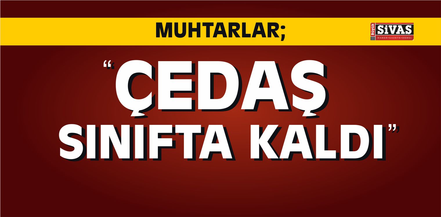 ÇEDAŞ