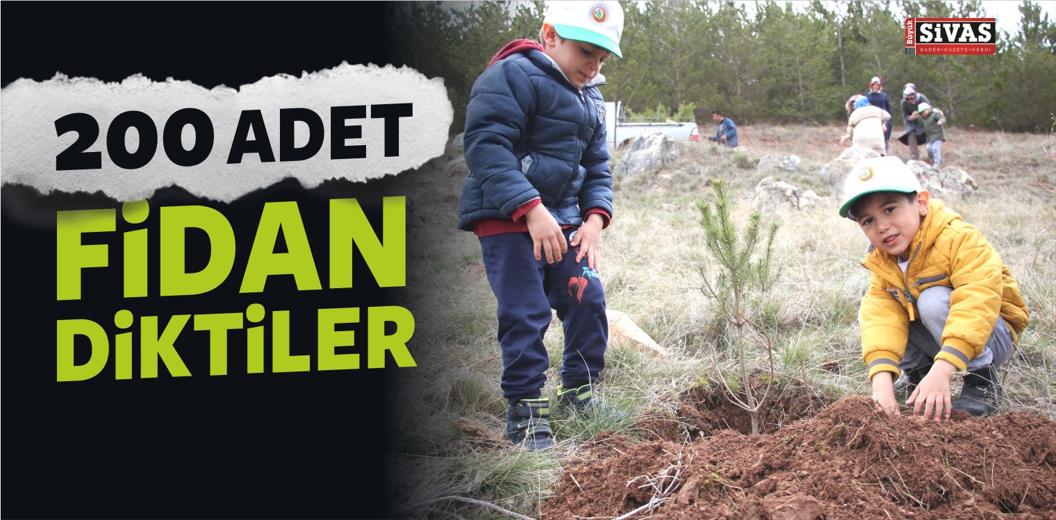 Anaokulu Öğrencileri Zara’da 200 Çam Fidanı Dikti