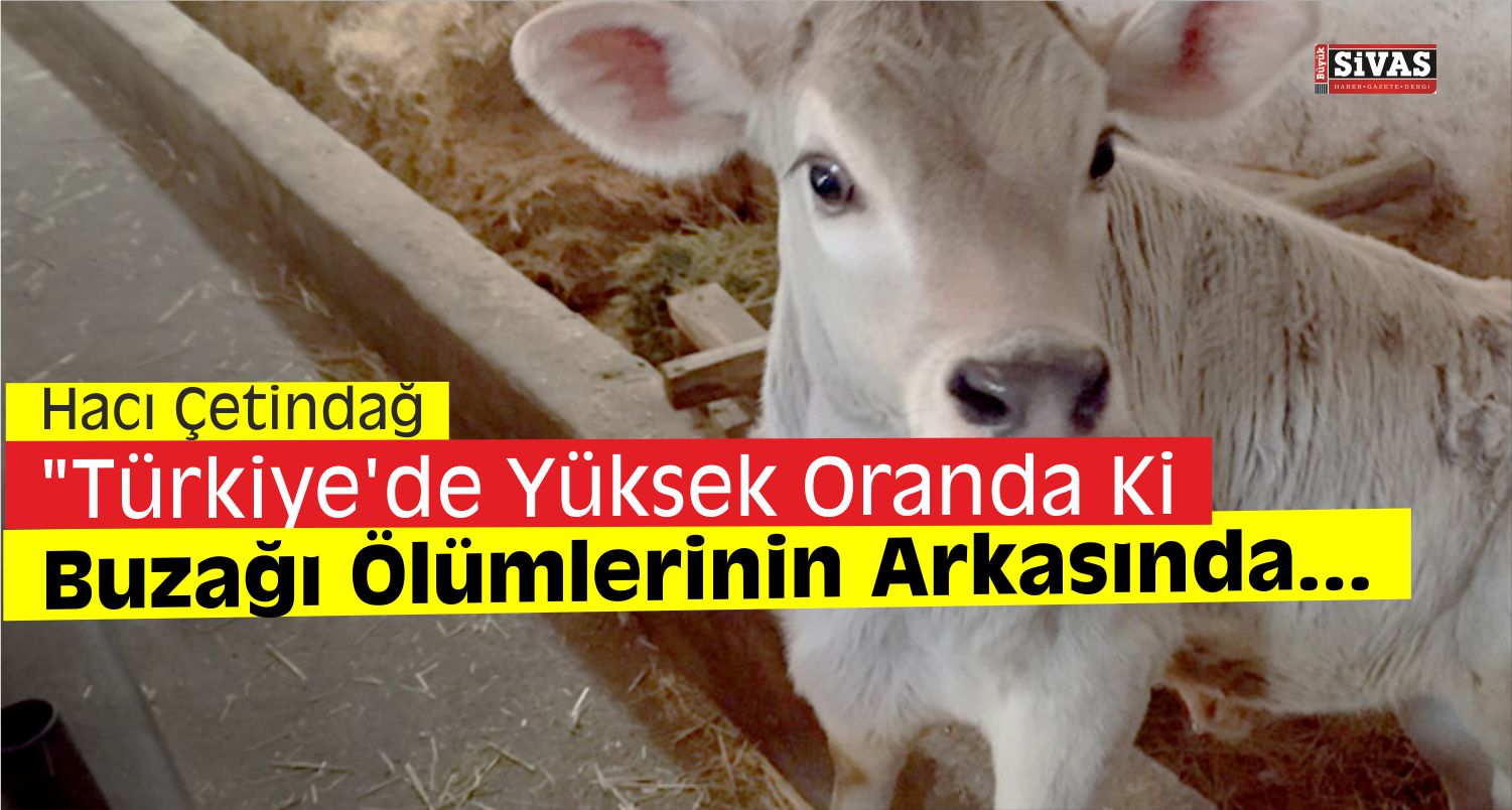 “İthal Hayvanların Yavruları Ölüyor”