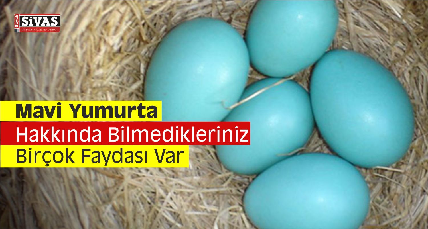 mavi yumurta faydaları