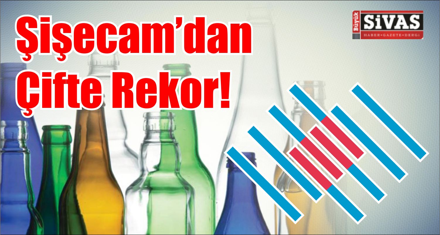 şişecam