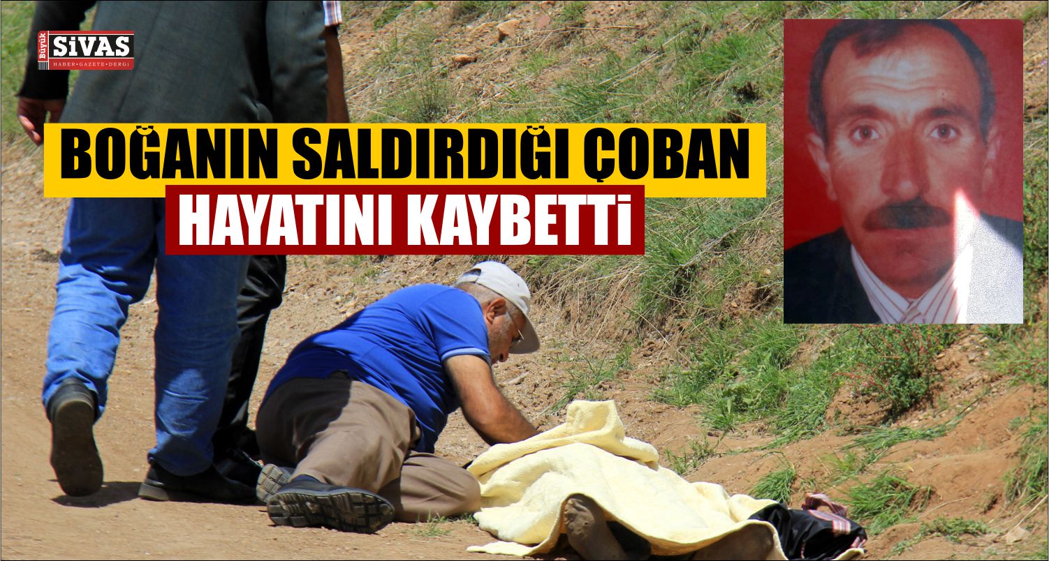 Boğa’nın Saldırdığı Çoban Hayatını Kaybetti!