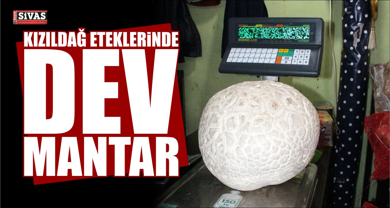 Kızıldağ Eteklerinde Dev Mantar!