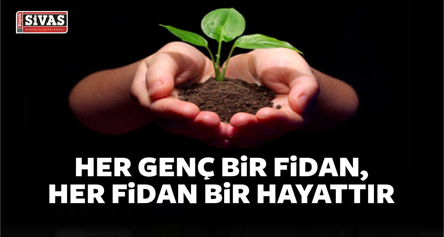Fidan