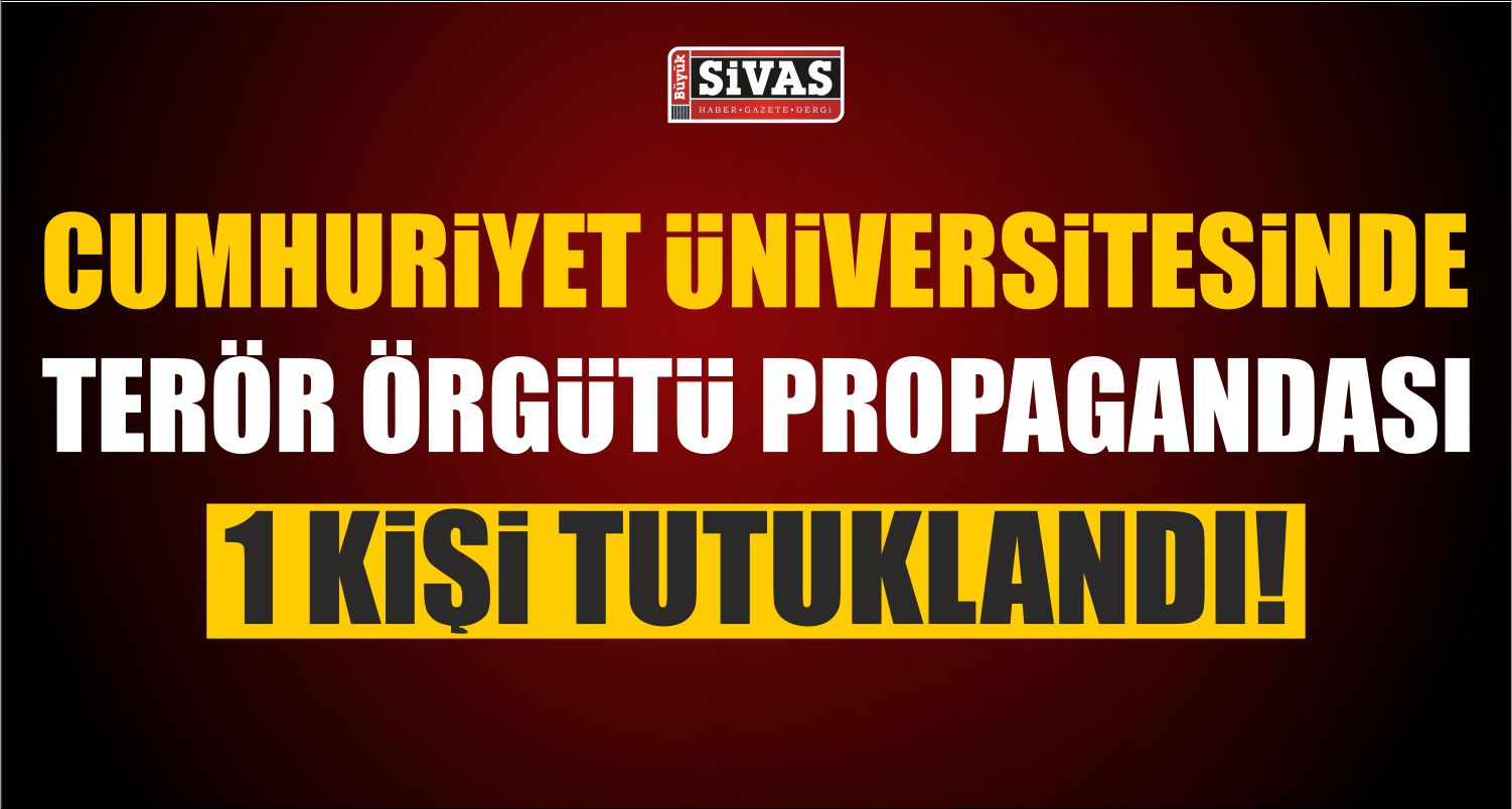 Terör Örgütü