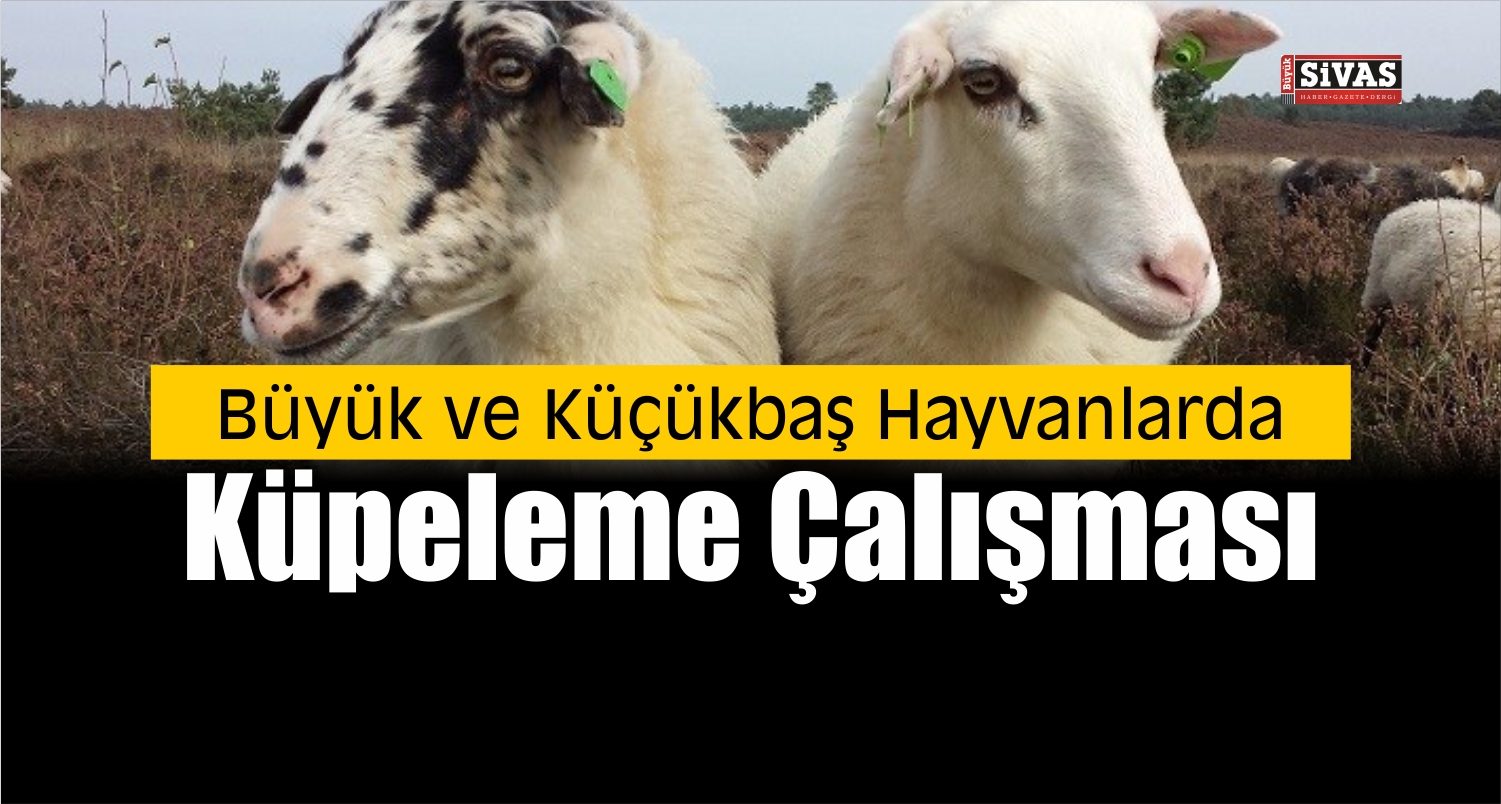 Küpeleme Çalışması Resmi Gazete’de Yayımlandı