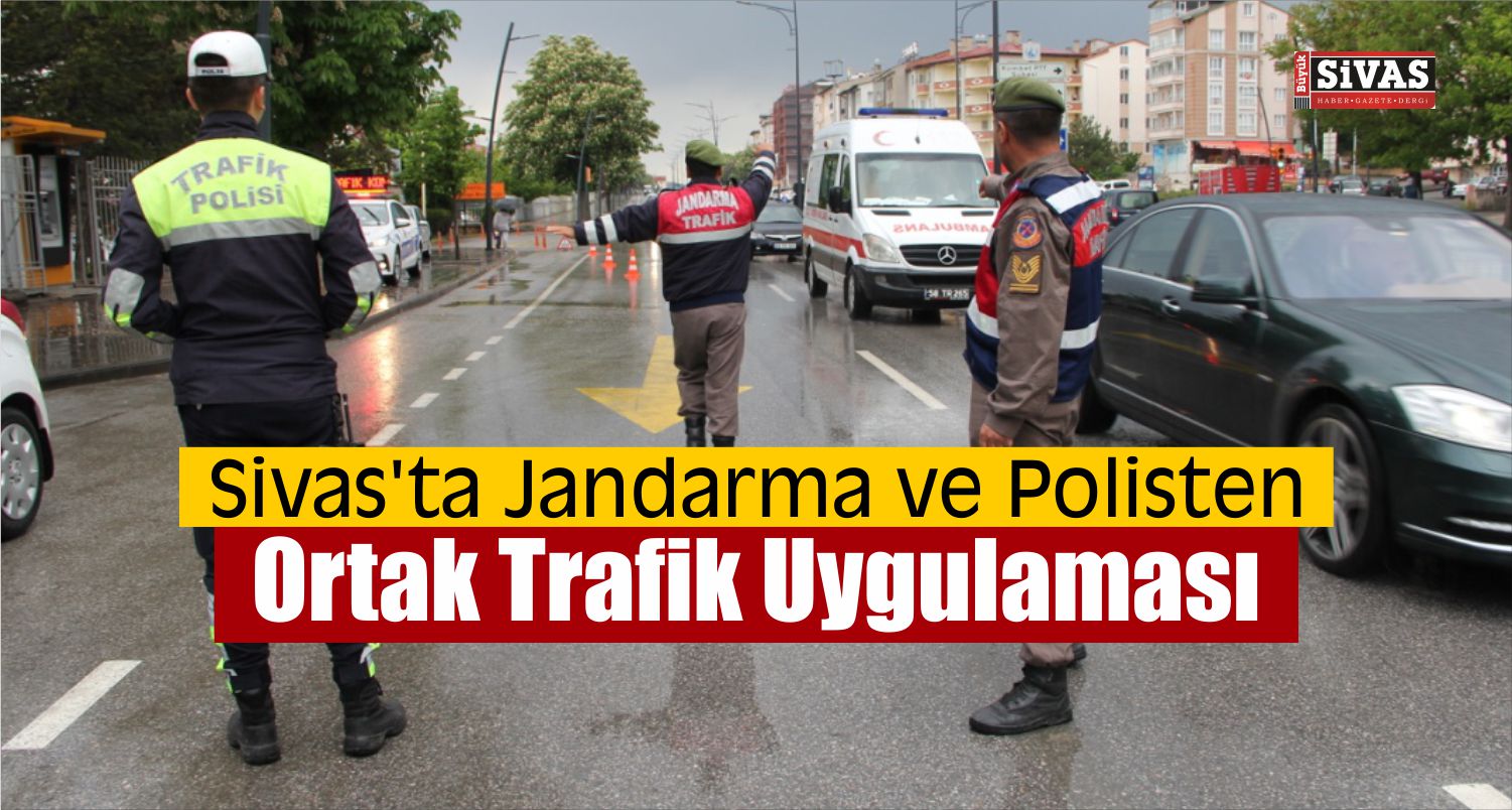 “Türkiye’de Güvenli Trafik Denetimi” Uygulaması