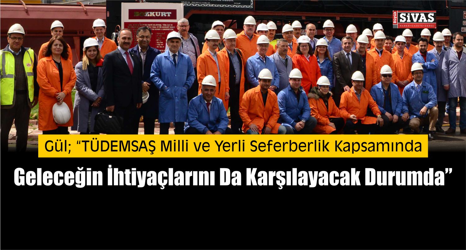 tüdemsaş çalıştay